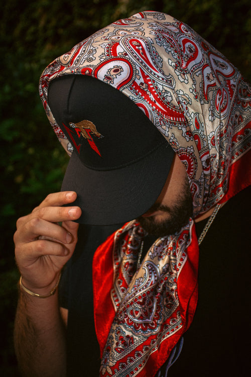"BLC" cap